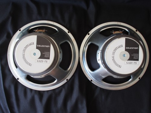 Pair guitar speakers - pair,