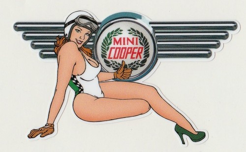 Mini cooper right pin - cooper,