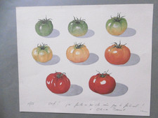 CAUMON Patrice Lithographie