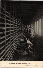 Old postcard AK drying vanilla pods MADAGASCAR (1262161)