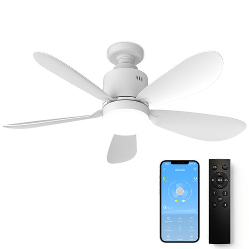 Ventilateur plafond avec - ventilateur,