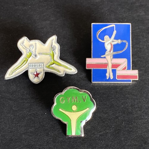 Lot pin sport gym - 3,