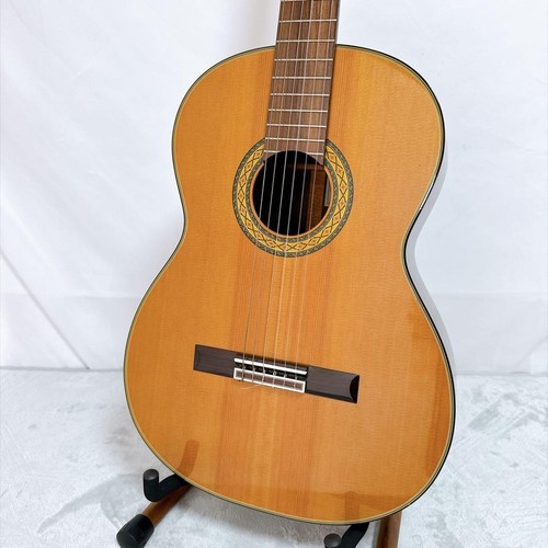 F60 takamine japan - takamine, no.5