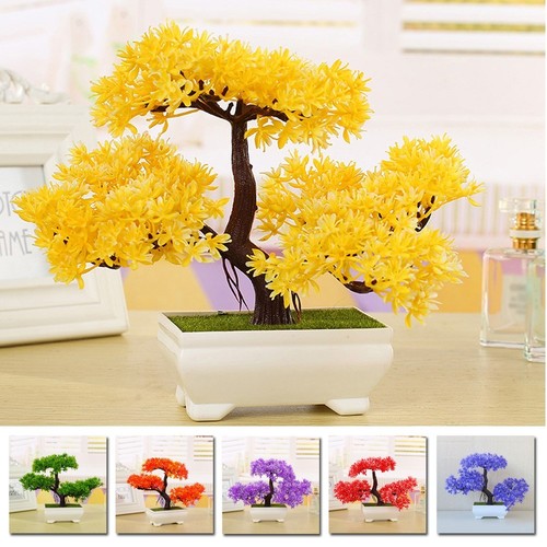 Plante pot bureau - en, pin
