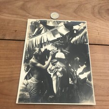 antique photograph africa N161 banana harvest