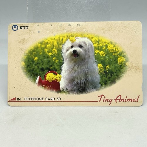 Tiny animal coton tuléar - tiny, de