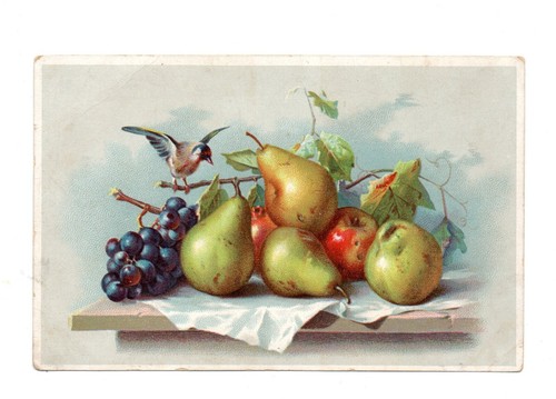 Illustrateur sans signature - illustrateur,