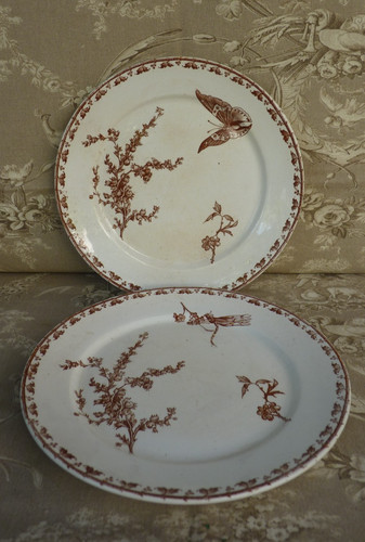 Sarreguemines carmen dessert - sarreguemines,