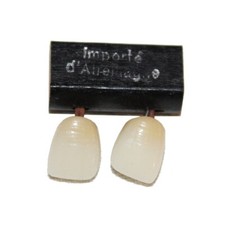 Antique Pair of Dentures / Front Teeth De Trey / Dentist