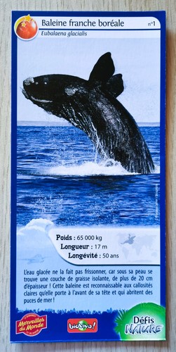 Carte merveilles monde - carte,