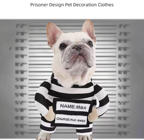 Costume halloween bouledogue - costume,