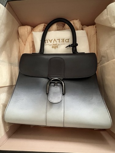 2017 delvaux brillant - 2017, mm