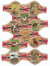 10 grandes bagues de cigare