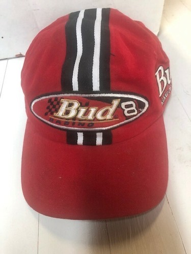 Dale earnhardt 8 bud king - jr.,