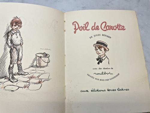 Jules renard poil carotte - renard,