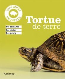 Tortue terre wilke - de,