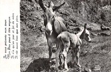 05-LES ALPES ANESSE ET ANON-N�LP5126-H/0193