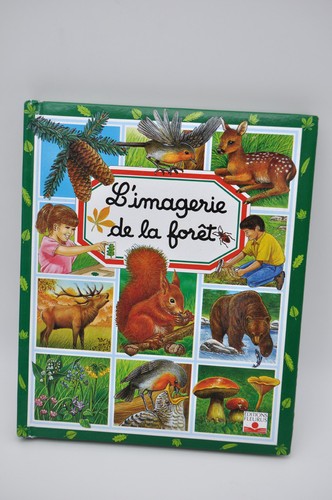 Imagerie forêt - la, –