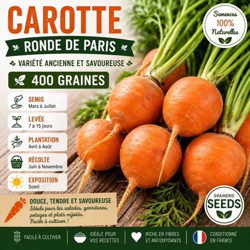 Carotte ronde paris 400 - ronde, –