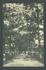 Carte postale allemande Afrique de l'Est Kilossa - Kapok-Allee