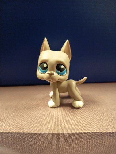 Authentic lps littlest - authentic,