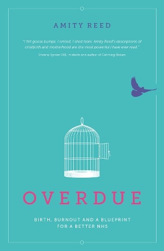 Amity reed overdue - reed,
