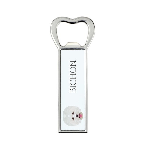 Bichon frisé tenerife - bichon, frisé,