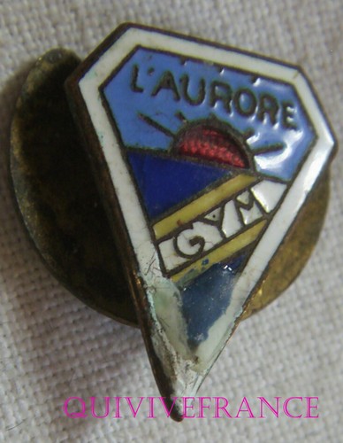 Bg12547 insigne badge - -,