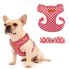Harnais pour Chien avec Laisse