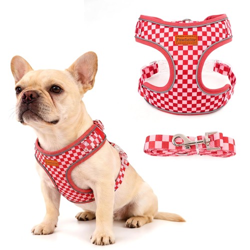 Harnais pour chien avec - chien,