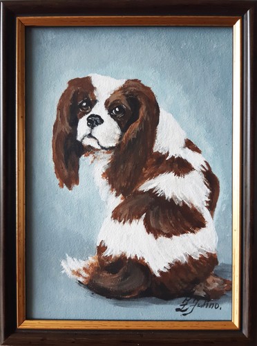 Cavalier king charles spaniel - king,