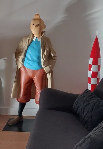Grand tintin imperméable - grand,