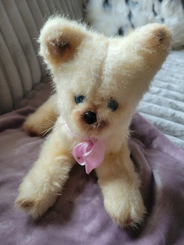Mignon petit chat peluche - mignon, en