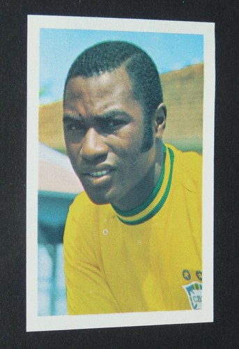 Edu brasil bresil fks - n°53,