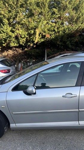Porte avant gauche peugeot 407 - avant,