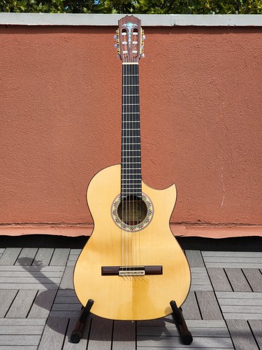 Juan montes rodriguez cutaway - montes,