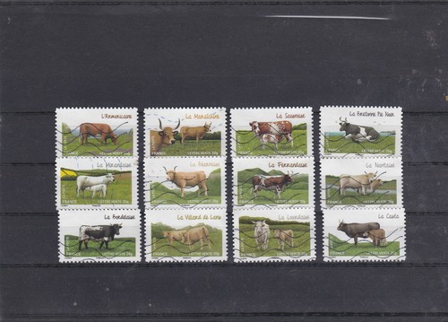 France 2014 vaches serie - 2014,