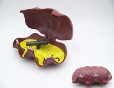 PLAYMOBIL (A22108) PIRATES - Giant Shell with Canon Ghosts 4802 Incomplete