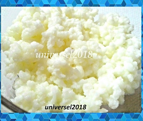 Kéfir lait 10g net - 10g, de
