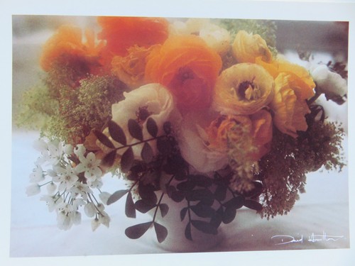 Carte postale david - ,