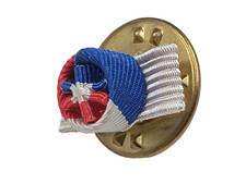 U5C/07/2025 (REF26051) Boutonniere Palmes académiques FRENCH MEDAL order