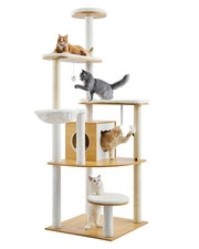 Grand Arbre à Chat Tour à Chat Maison de Jeu d'Intérieur Hauteur 175 cm