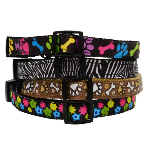 Collier chien puppy - de,