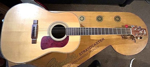 George washburn acoustic - washburn,