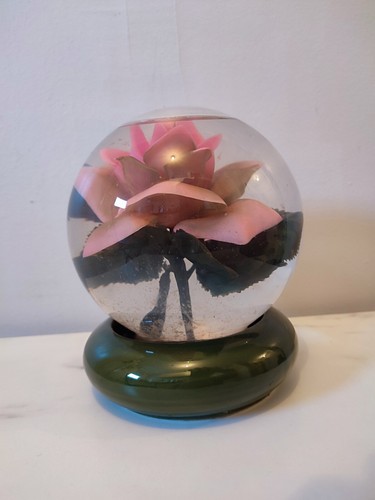 Ancienne rose éternelle - rose,