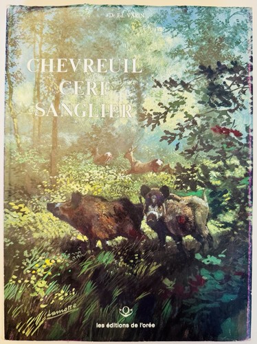 Chevreuil cerf sanglier - cerf,