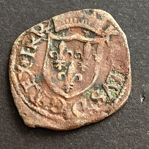 11378 charles viii cavallo - viii,