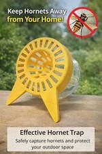 lot 4 Piège à frelon/guêpe