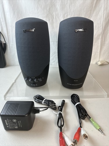 Gemini 100 active speaker - active,