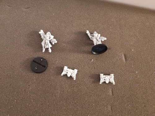 Warhammer 40k sisters - warhammer,
